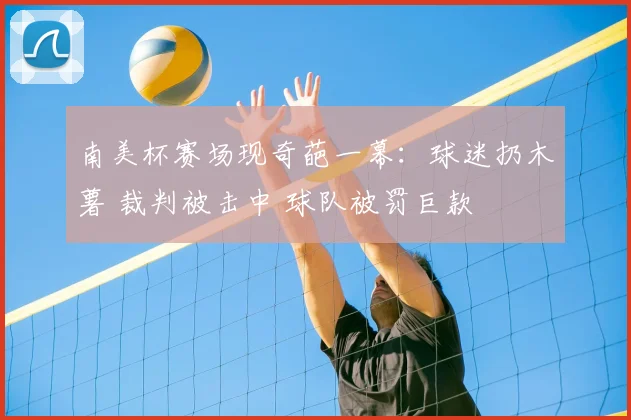 南美杯赛场现奇葩一幕:球迷扔木薯 裁判被击中 球队被罚巨款