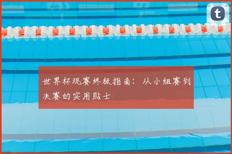 世界杯观赛终极指南:从小组赛到决赛的实用贴士