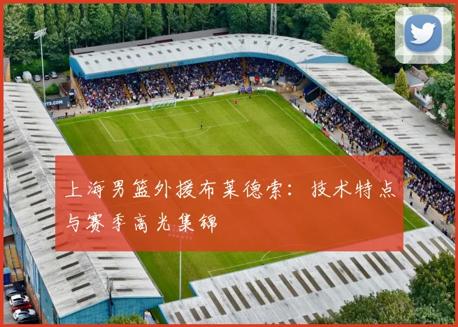 上海男篮外援布莱德索：技术特点与赛季高光集锦