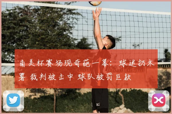 南美杯赛场现奇葩一幕：球迷扔木薯 裁判被击中 球队被罚巨款