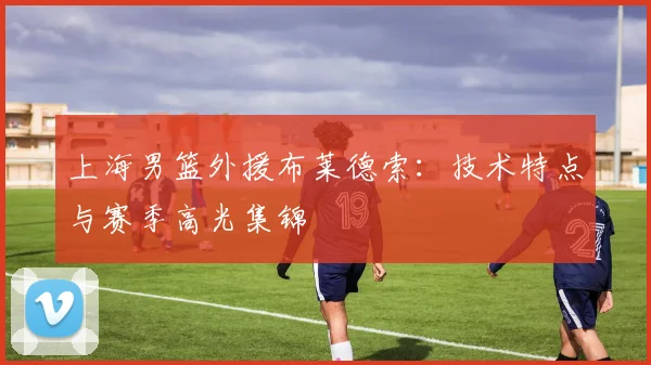 上海男篮外援布莱德索：技术特点与赛季高光集锦