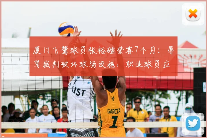 厦门飞鹭球员张裕碹禁赛7个月：辱骂裁判破坏球场设施，职业球员应如何控制情绪？