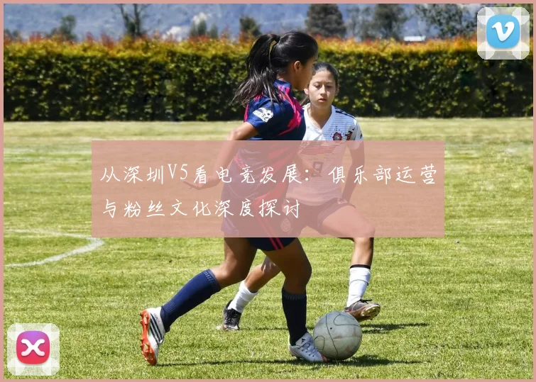 从深圳V5看电竞发展：俱乐部运营与粉丝文化深度探讨